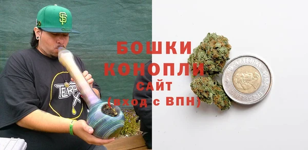 сатива Кулебаки
