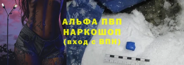 сатива Кулебаки