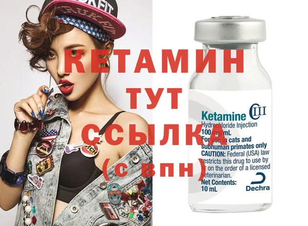 сатива Кулебаки