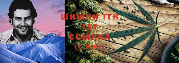 2c-b Лагань