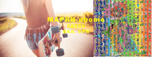 сатива Кулебаки