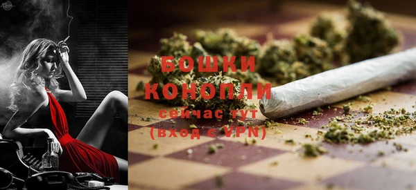 сатива Кулебаки