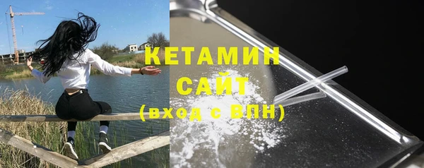 сатива Кулебаки
